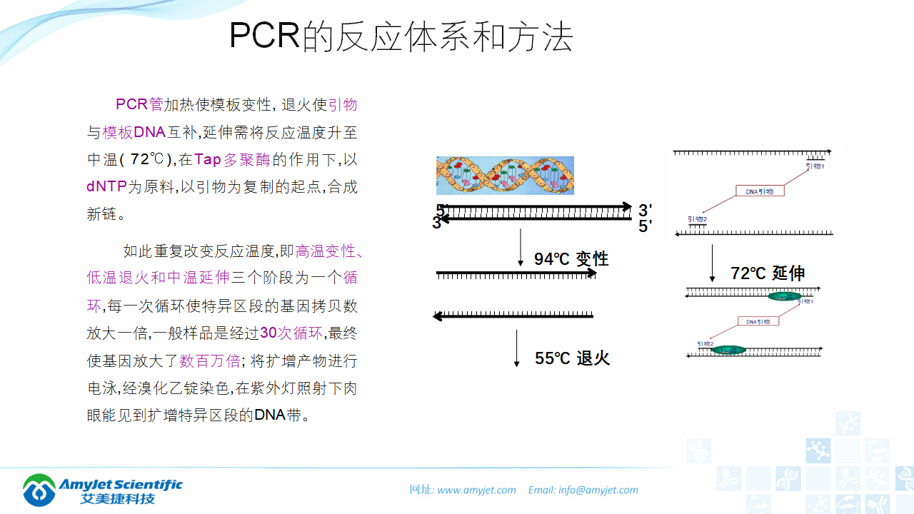 202006-PCR背景与解决方案_07.png