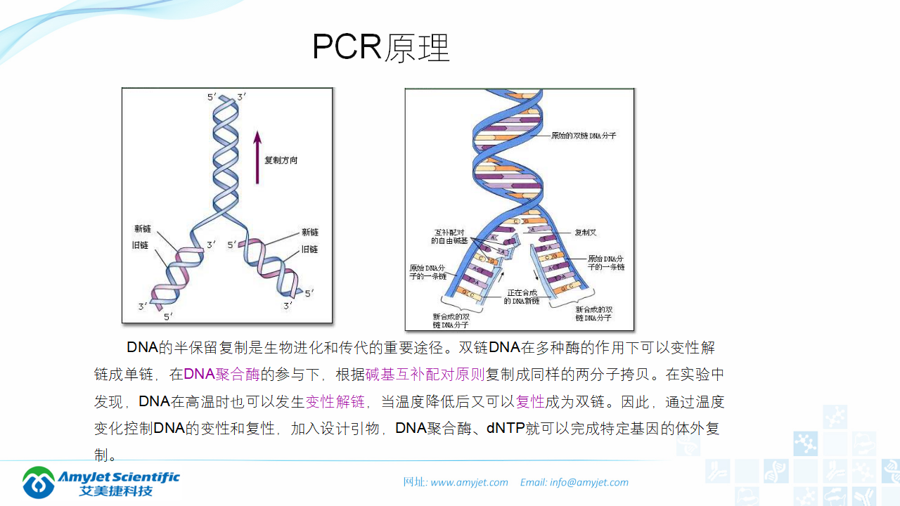 202006-PCR背景与解决方案_06.png
